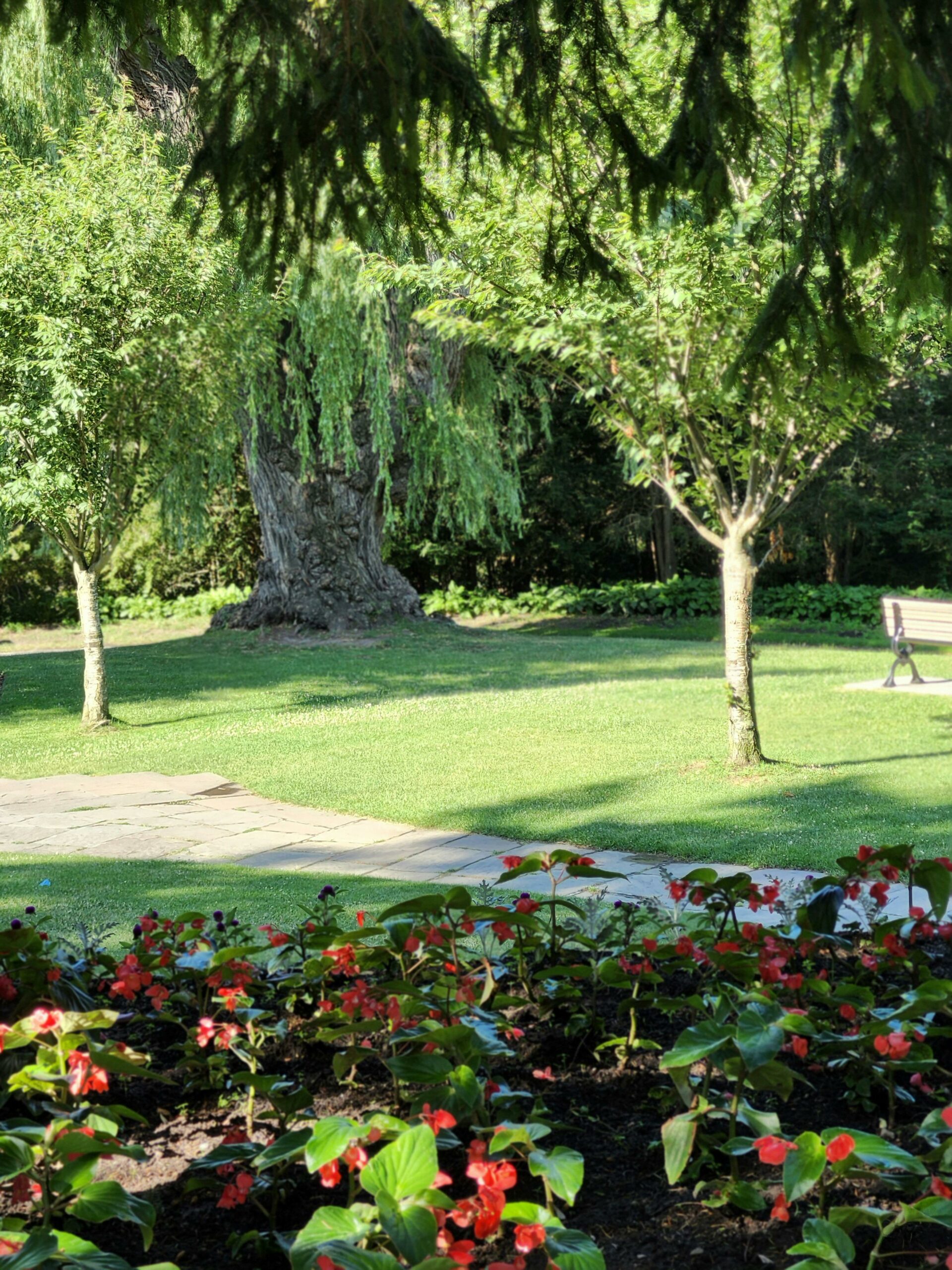 Fourniture et pose de plants, d’arbres et de végétaux - Les Voiles Habitats